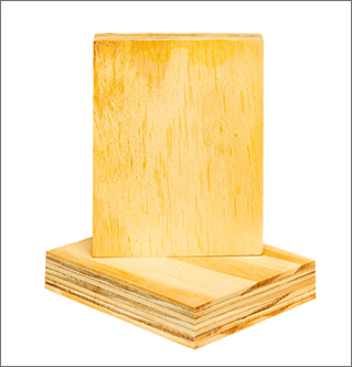 Elliottis Pine Plywood